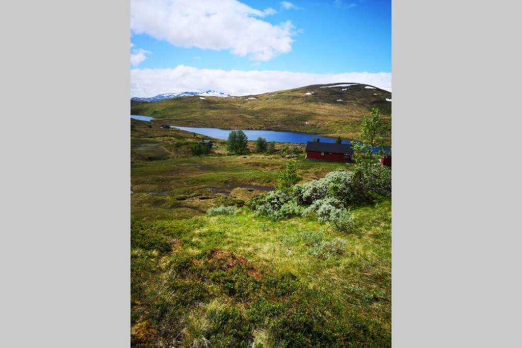 Casa Kleiv I Sogndalsdalen别墅 外观 照片